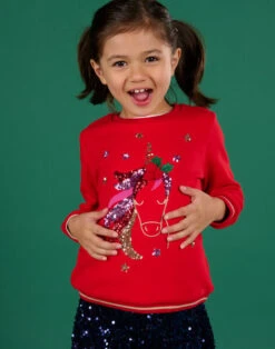 Christmas Unicorn Long Sleeve Sweater